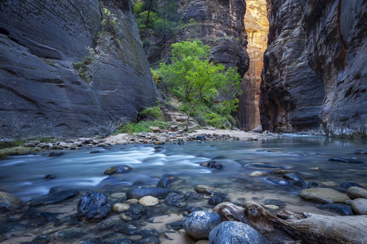 Zion National Park- The Narrows Water Hike